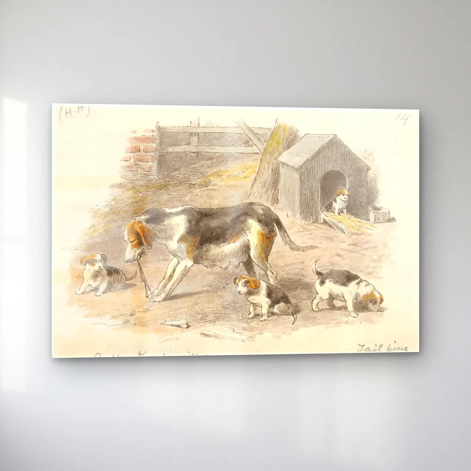 Vintage Köpek No. 17 cam tablo — sol açıdan görünüm