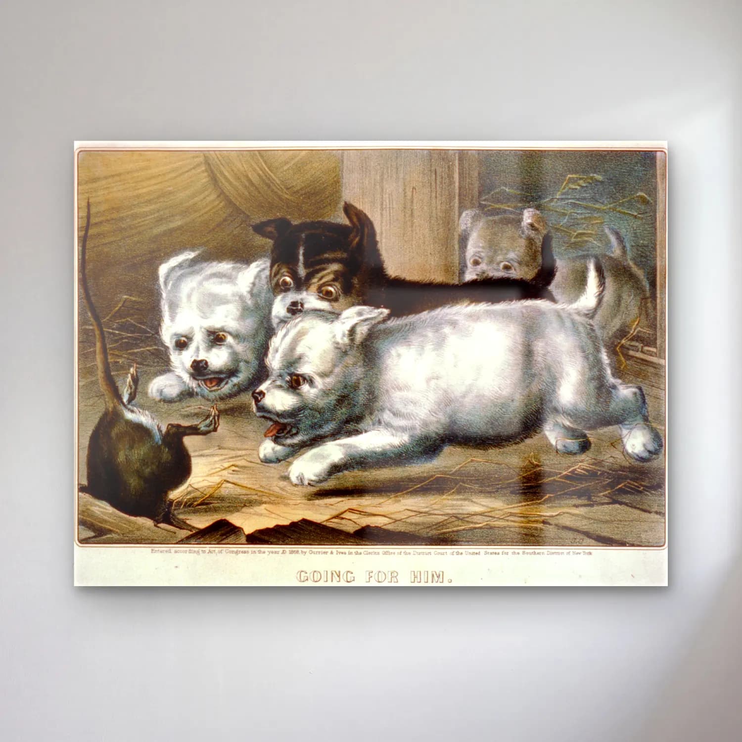 Vintage Köpek No. 20 cam tablo — Vintage Köpek No. 20 — vintage köpek