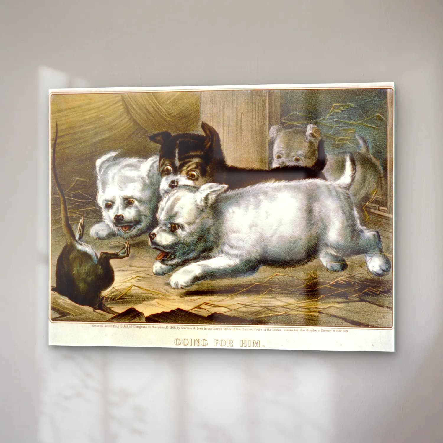 Vintage Köpek No. 20 cam tablo — sağ açıdan görünüm