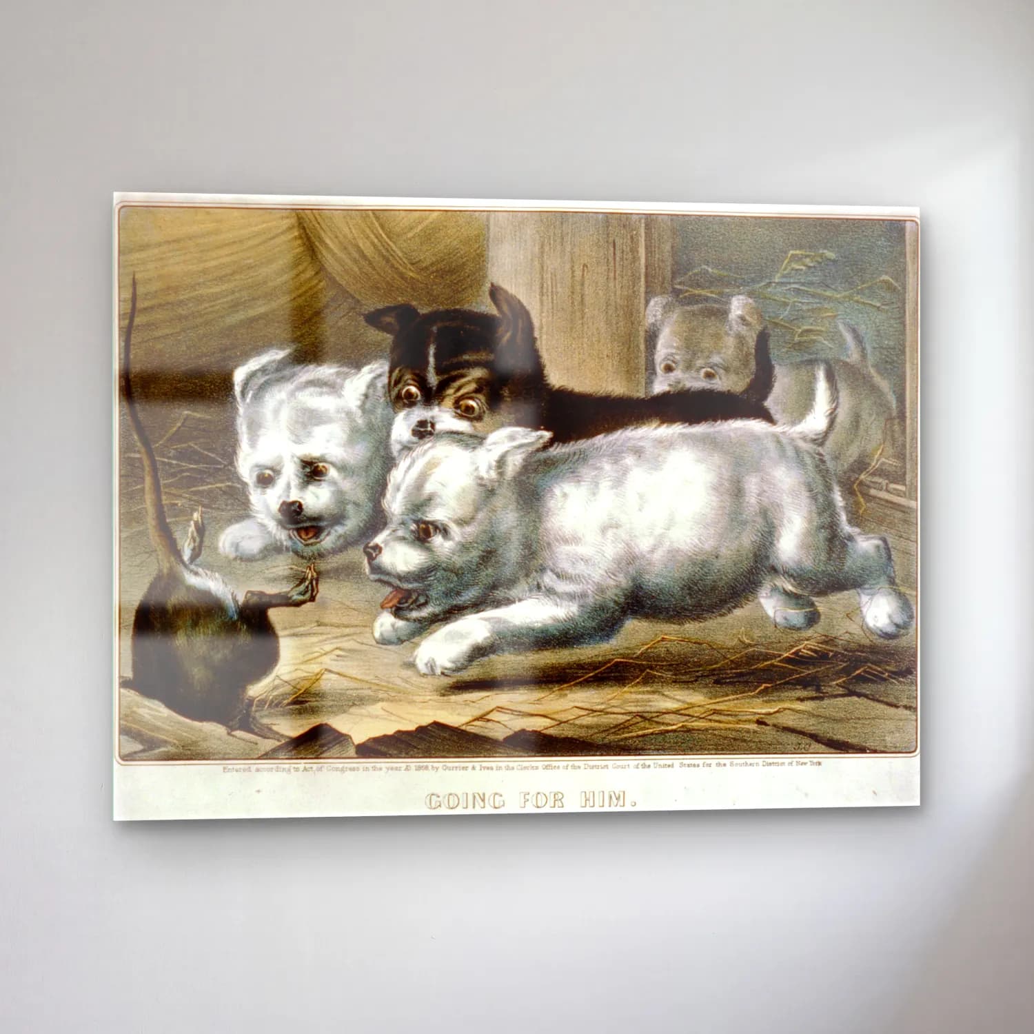Vintage Köpek No. 20 cam tablo — sol açıdan görünüm