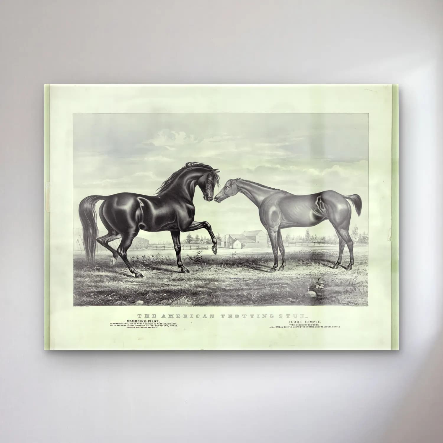 Vintage At No. 21 cam tablo — Vintage At No. 21 — vintage at