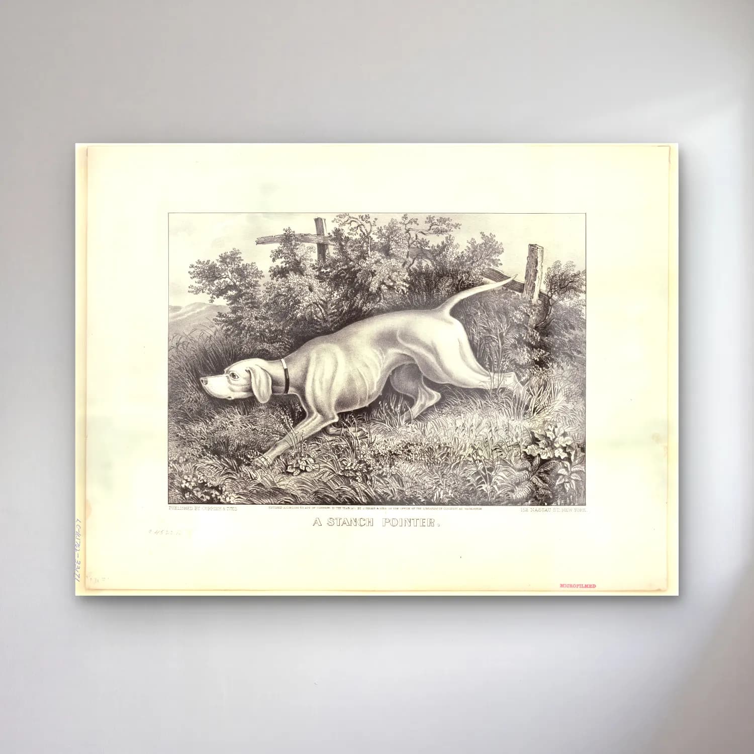 Vintage Köpek No. 21 cam tablo — Vintage Köpek No. 21 — vintage köpek