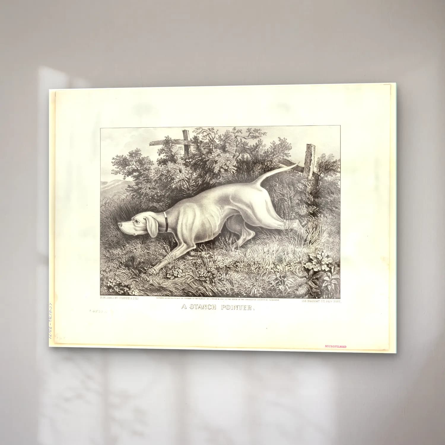Vintage Köpek No. 21 cam tablo — sağ açıdan görünüm
