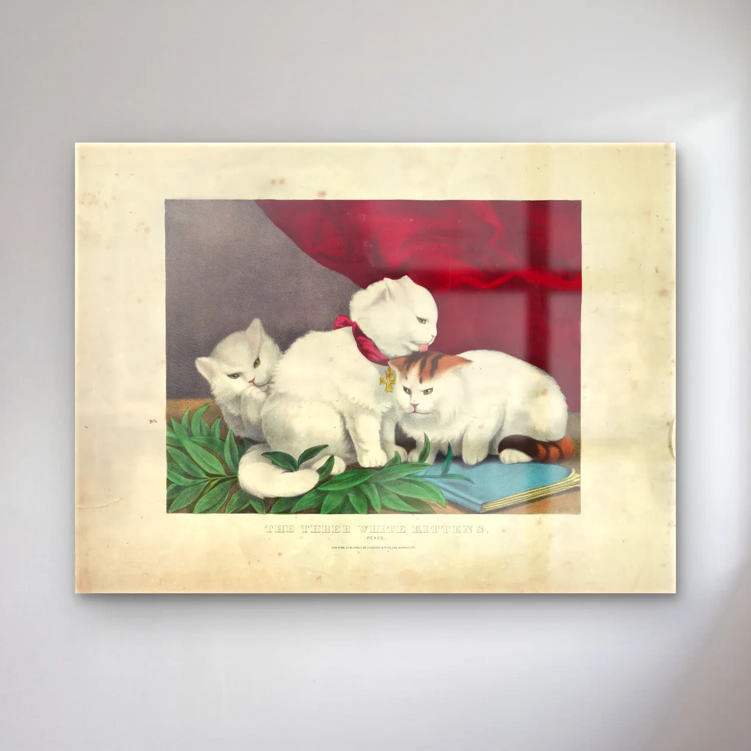 Vintage Kedi No. 28 cam tablo — Vintage Kedi No. 28 — vintage kedi
