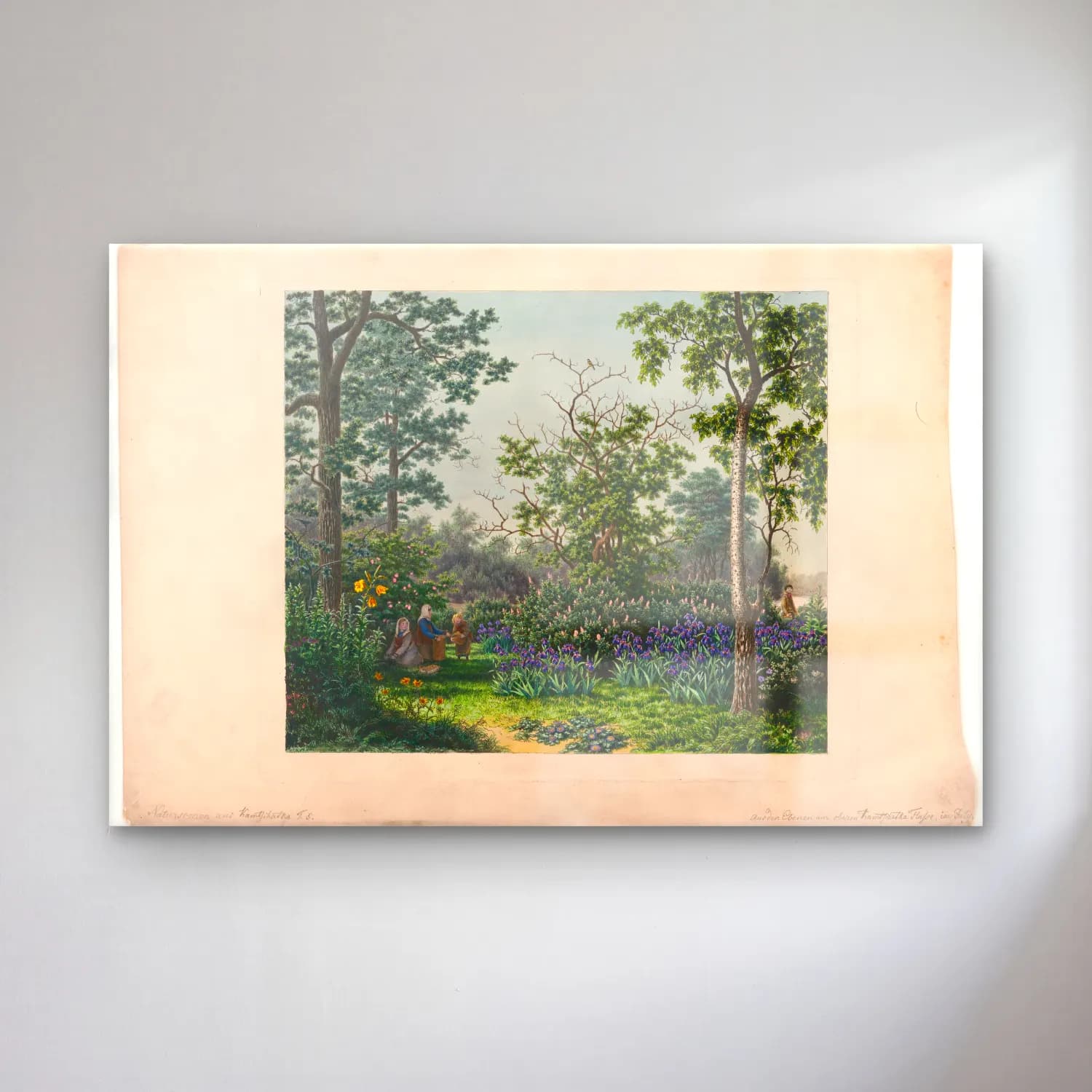 Vintage Çiçek Bahçesi – Mor Tonlar cam tablo — Vintage Çiçek Bahçesi – Mor Tonlar — vintage çiçek bahçesi