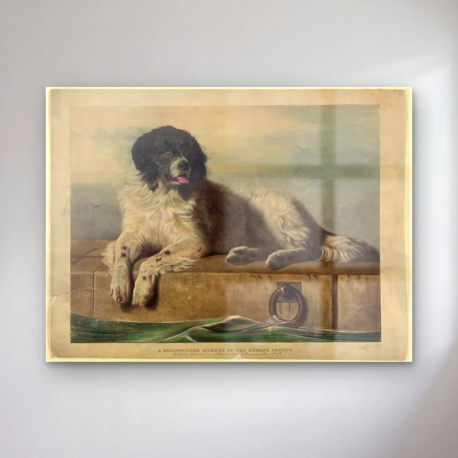 Vintage Köpek No. 22 cam tablo — Vintage Köpek No. 22 — vintage köpek