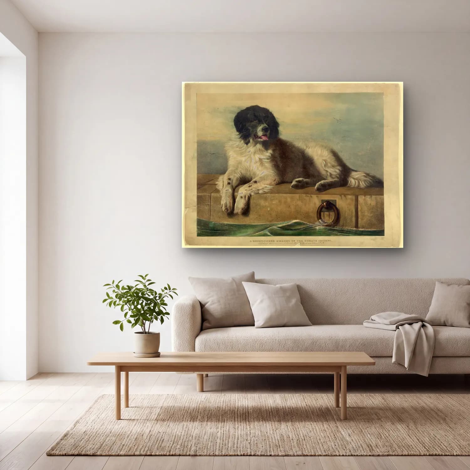 Vintage Köpek No. 22 cam tablo — açık renk salonda
