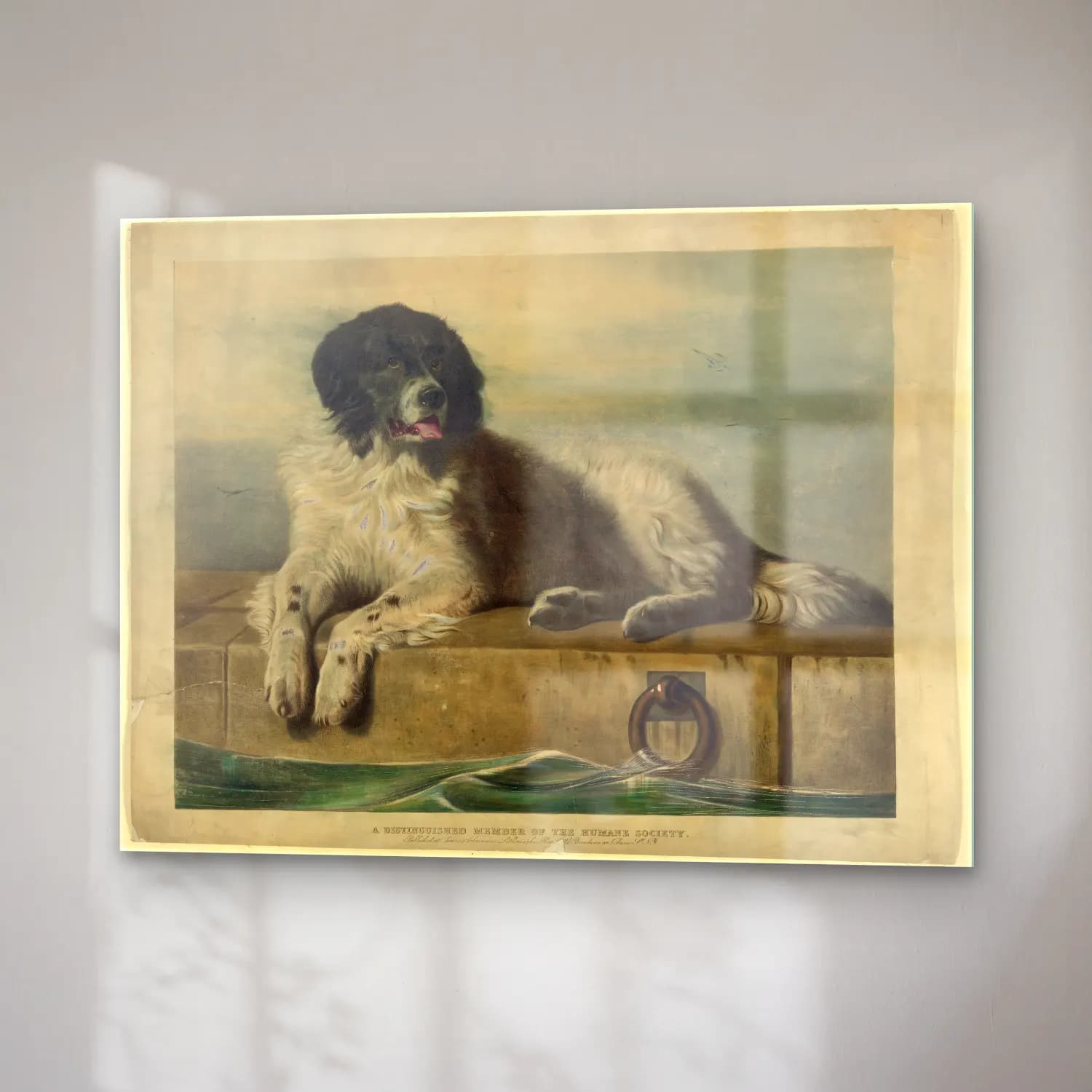 Vintage Köpek No. 22 cam tablo — sağ açıdan görünüm