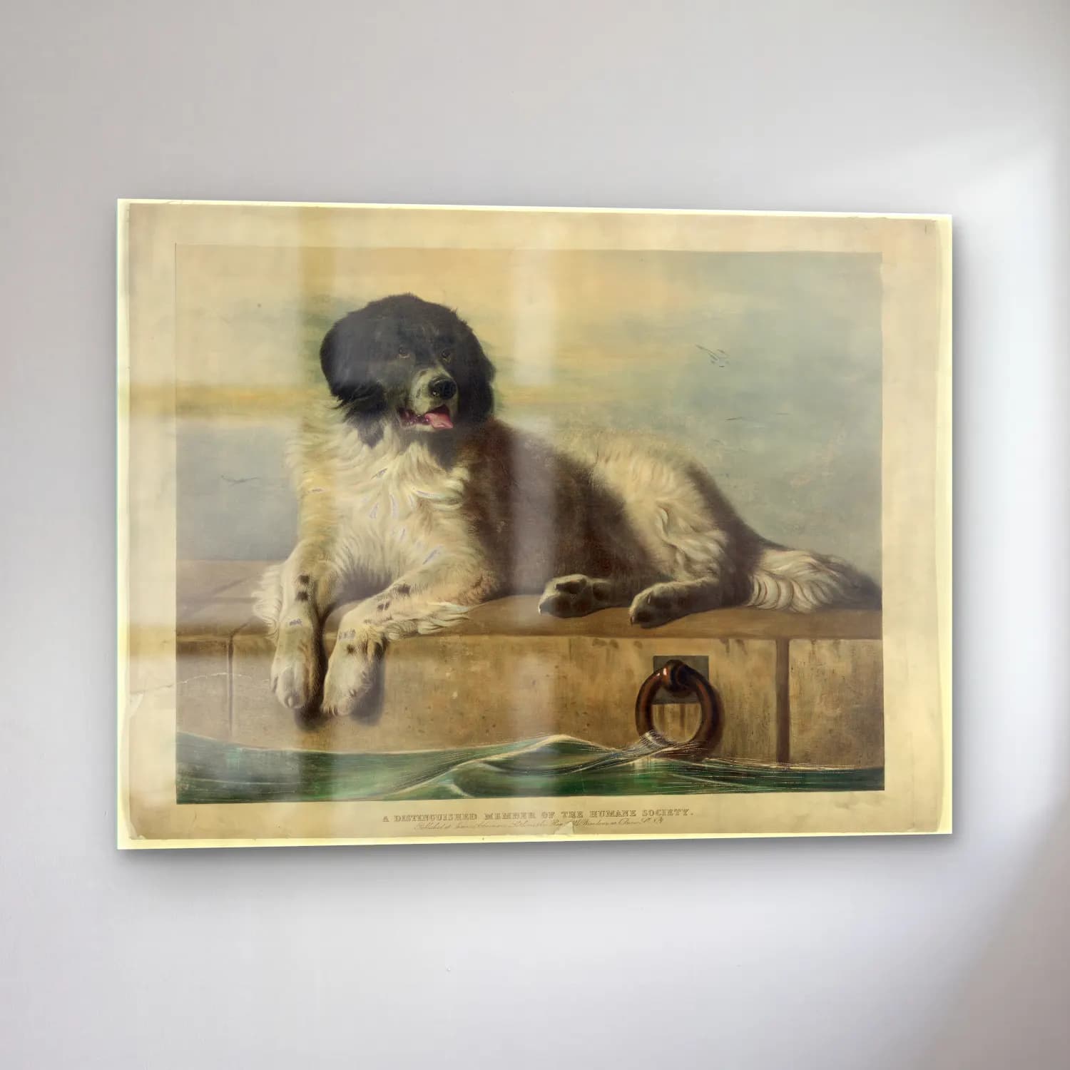Vintage Köpek No. 22 cam tablo — sol açıdan görünüm