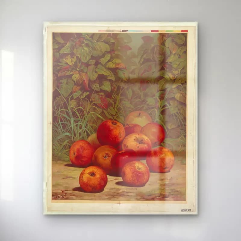 Vintage Meyveli Natürmort – Kırmızı Tonlar cam tablo — Vintage Meyveli Natürmort – Kırmızı Tonlar — vintage meyveli natürmort