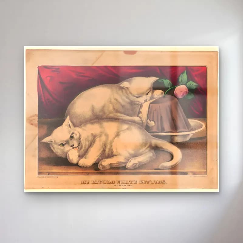 Vintage Kedi No. 29 cam tablo — Vintage Kedi No. 29 — vintage kedi