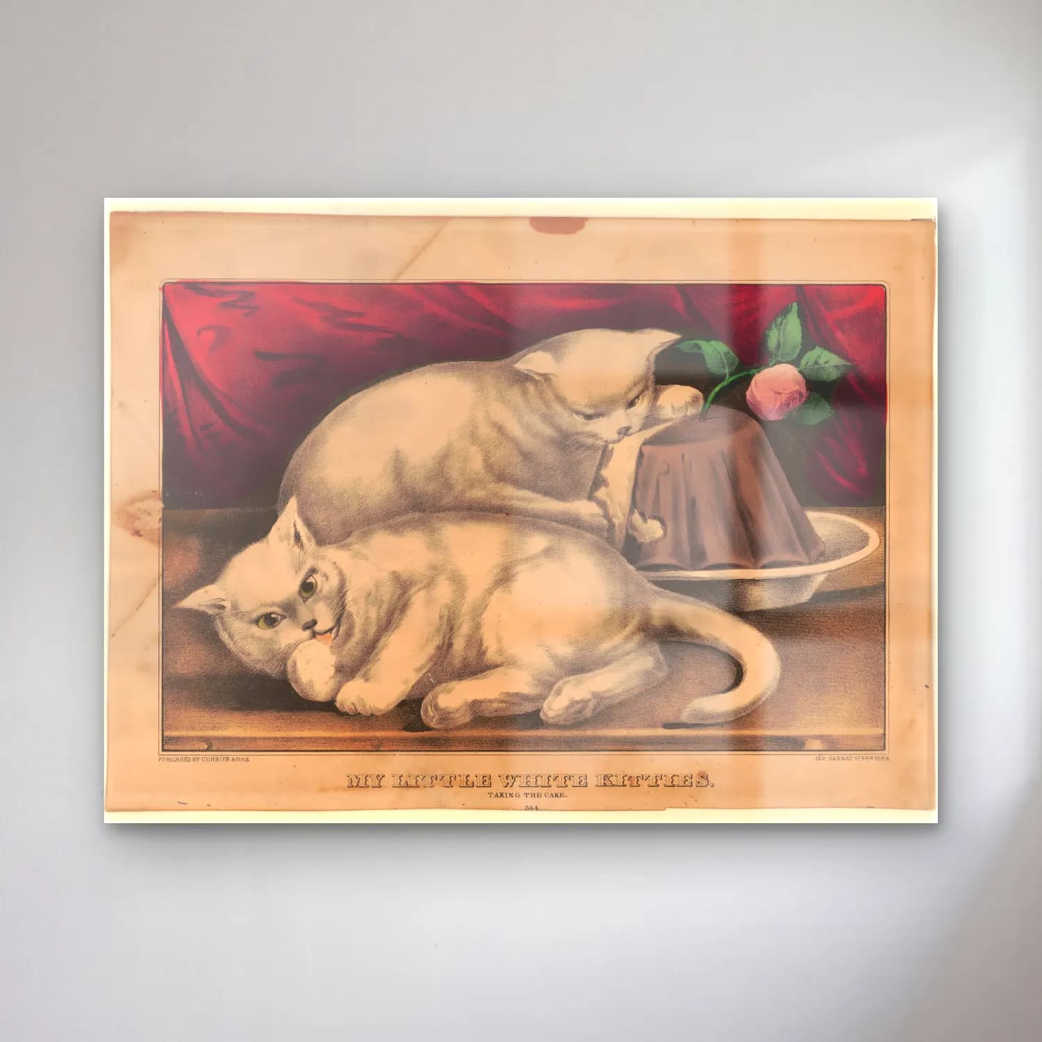 Vintage Kedi No. 29 cam tablo — Vintage Kedi No. 29 — vintage kedi