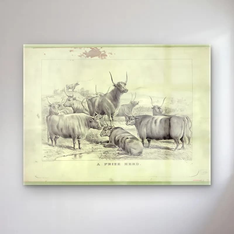 Vintage İnek No. 12 cam tablo — Vintage İnek No. 12 — vintage i̇nek