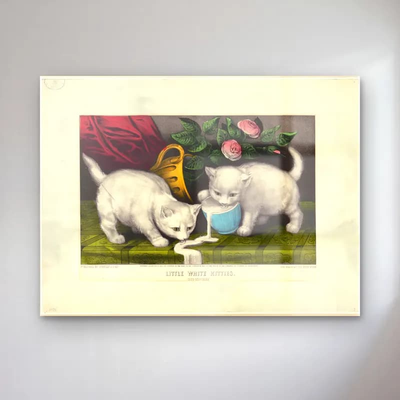 Vintage Kedi No. 30 cam tablo — Vintage Kedi No. 30 — vintage kedi