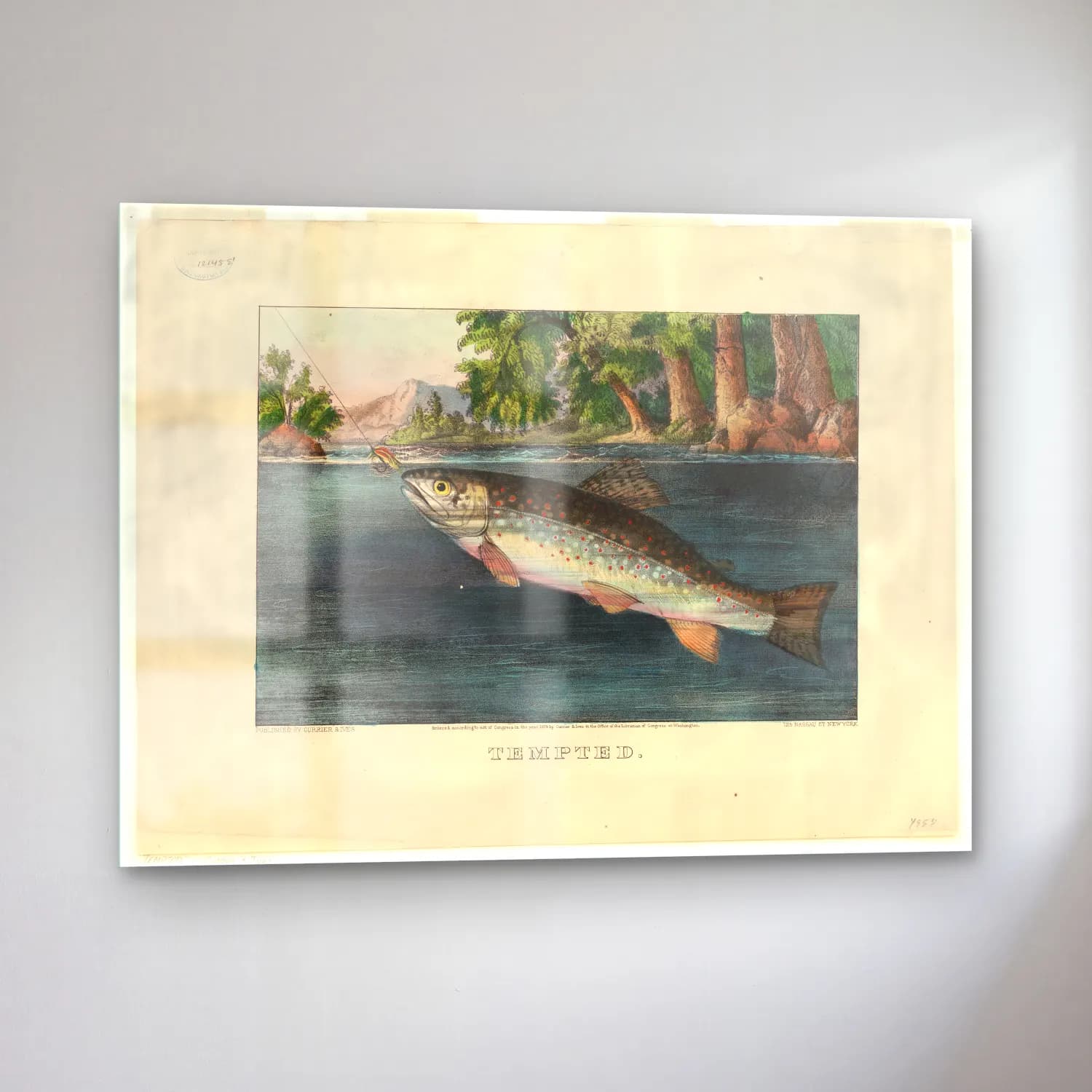 Vintage Balık No. 36 cam tablo — sol açıdan görünüm