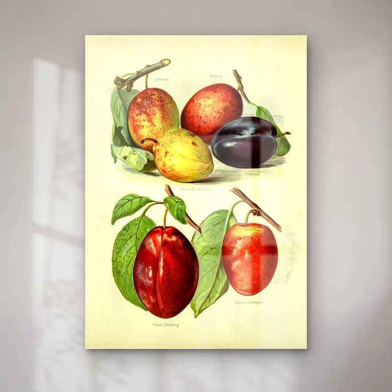 Vintage Meyveli Natürmort – Mor Tonlar cam tablo — Vintage Meyveli Natürmort – Mor Tonlar — vintage meyveli natürmort