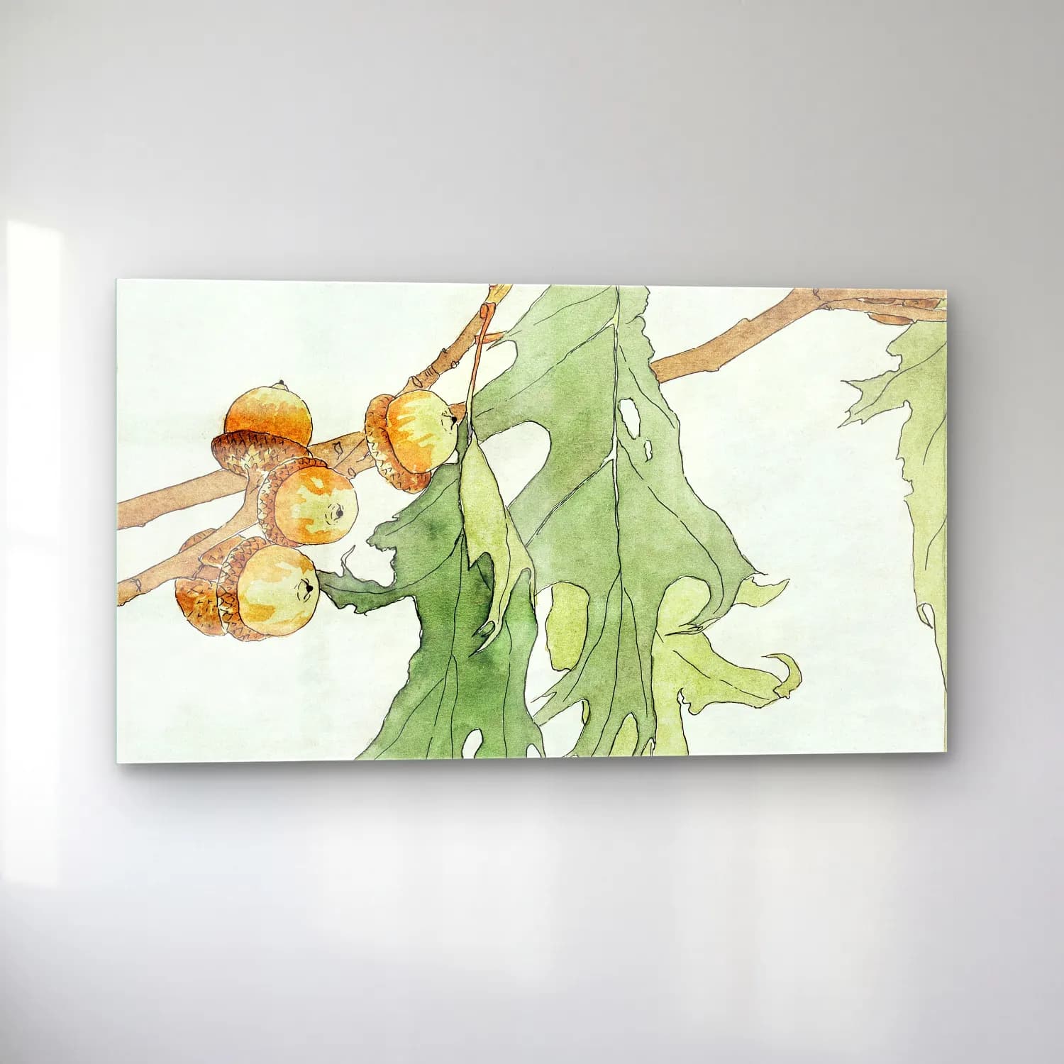 Hannah Borger Overbeck – OakAcorns cam tablo — sol açıdan görünüm