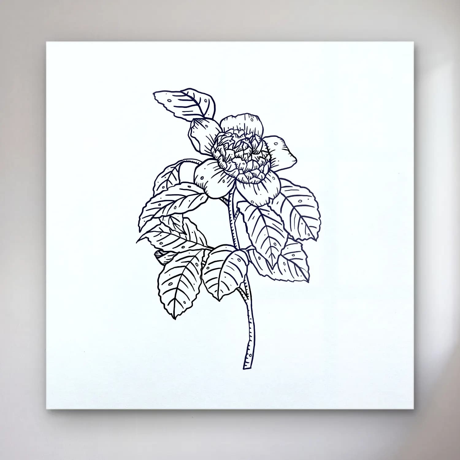 Botanik İllüstrasyon Çiçek Deseni No. 51 cam tablo — Botanik İllüstrasyon Çiçek Deseni No. 51 — botanik i̇llüstrasyon çiçek deseni