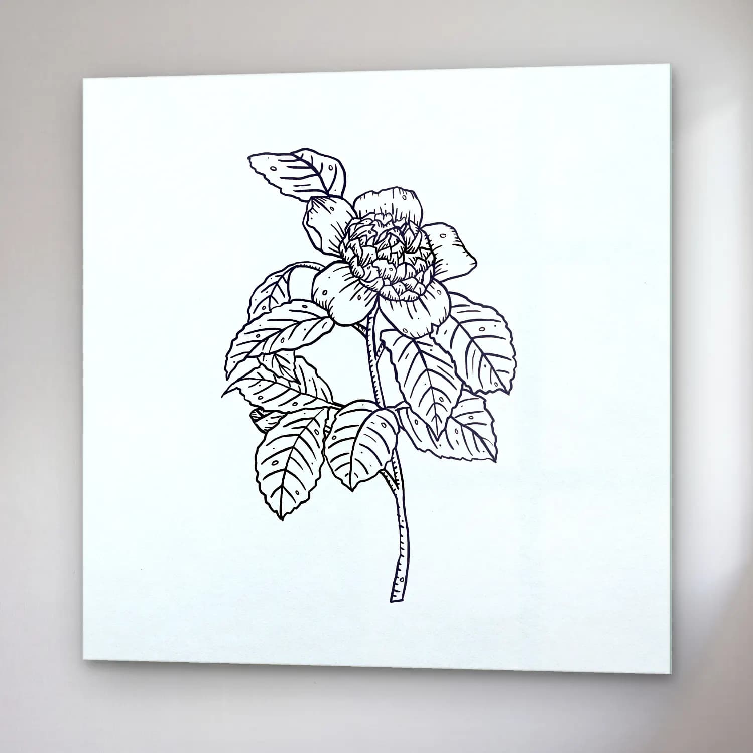Botanik İllüstrasyon Çiçek Deseni No. 51 cam tablo — sağ açıdan görünüm