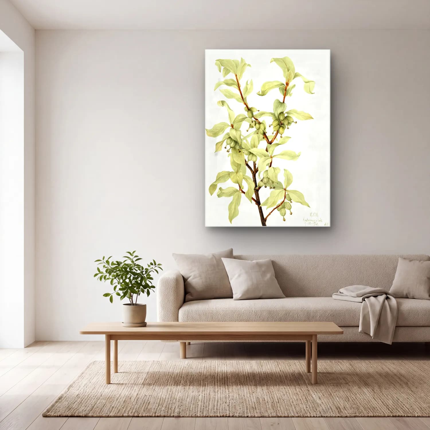 Botanik İllüstrasyon Okaliptüs Dalları – Yeşil Tonlar cam tablo — açık renk salonda