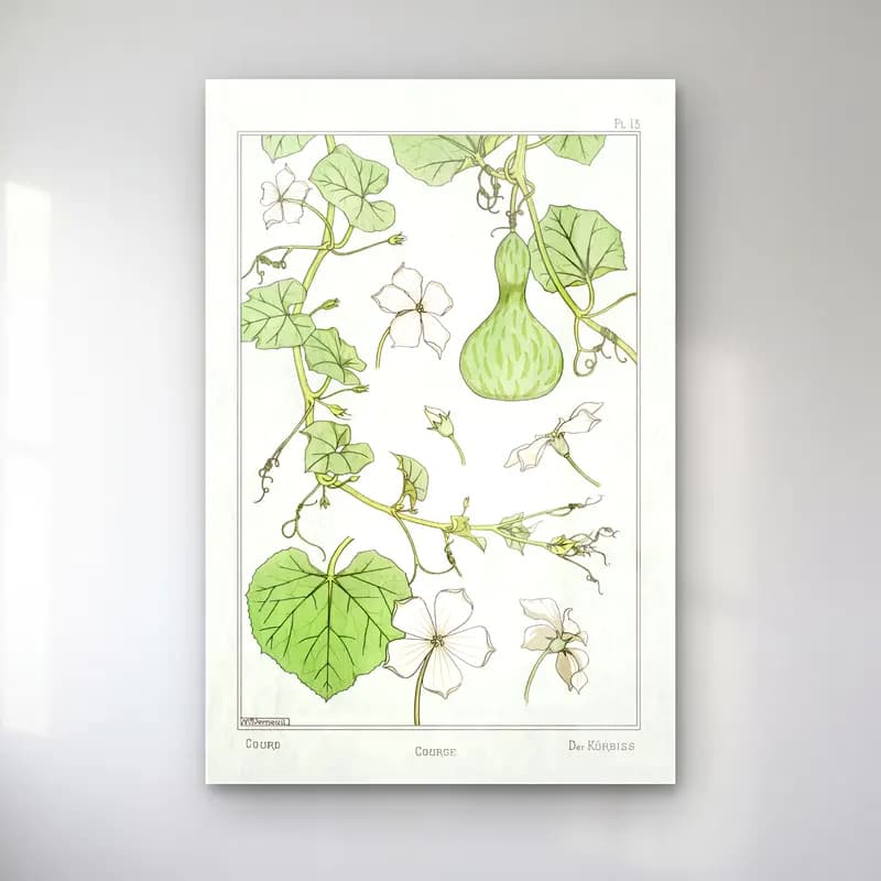 Botanik İllüstrasyon Sebzeler – Yeşil Tonlar cam tablo — Botanik İllüstrasyon Sebzeler – Yeşil Tonlar — botanik i̇llüstrasyon sebzeler