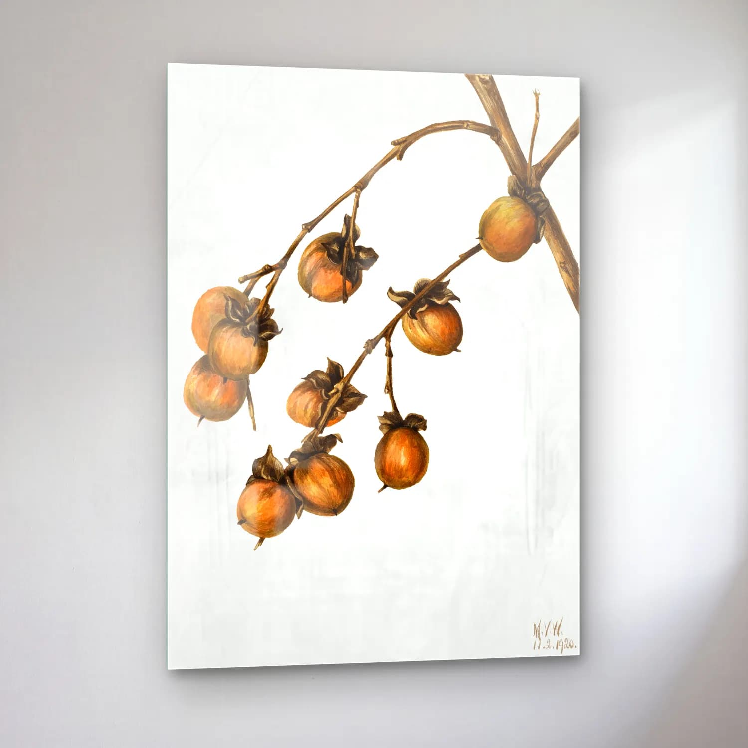 Botanik İllüstrasyon İncirler – Turuncu Tonlar cam tablo — sol açıdan görünüm