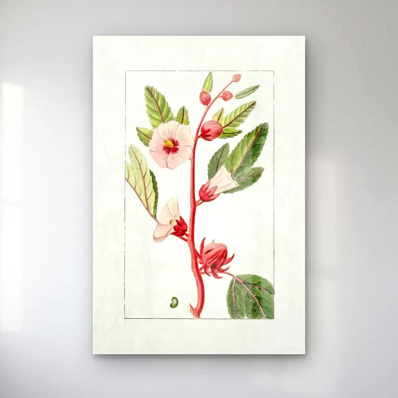 Botanik İllüstrasyon Çiçek Deseni No. 91 cam tablo — Botanik İllüstrasyon Çiçek Deseni No. 91 — botanik i̇llüstrasyon çiçek deseni