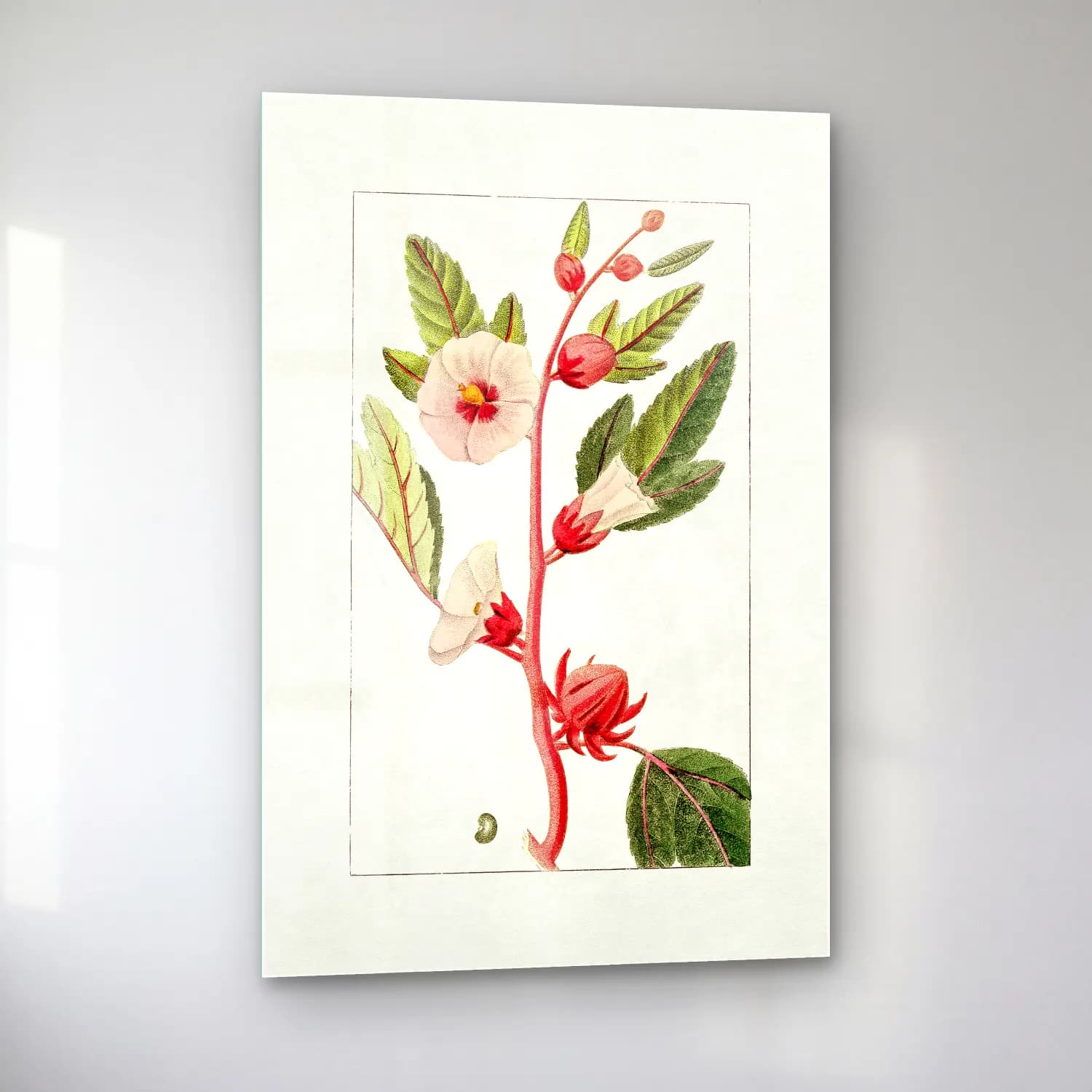 Botanik İllüstrasyon Çiçek Deseni No. 91 cam tablo — sol açıdan görünüm