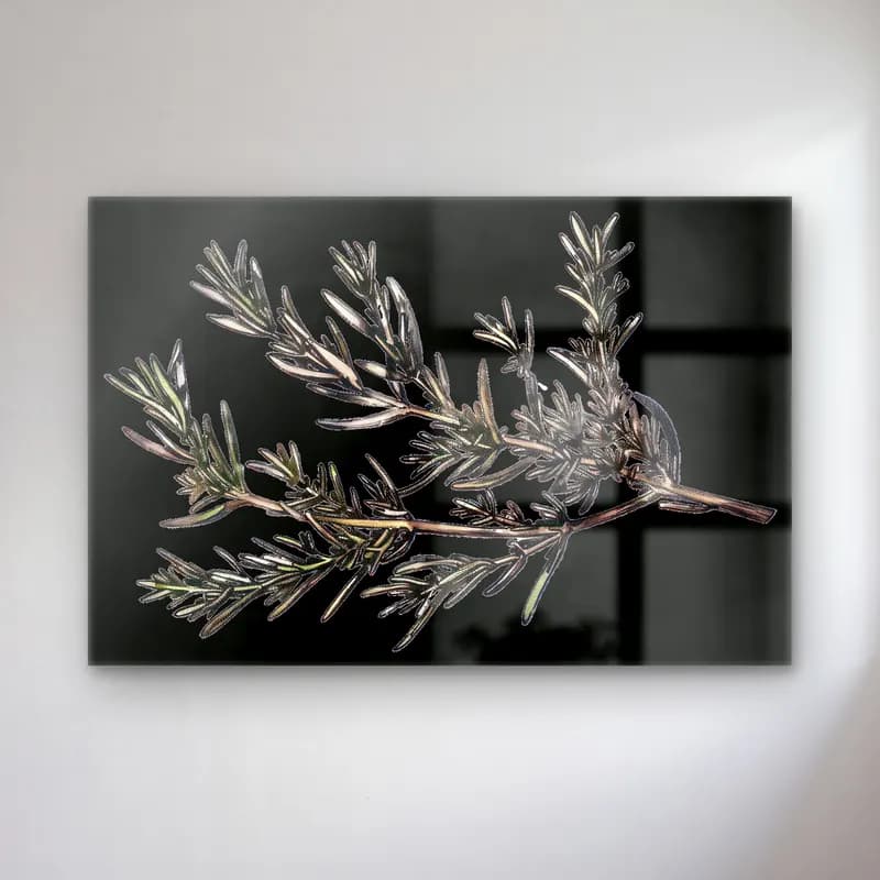 Botanik İllüstrasyon Zeytin Dalı No. 4 cam tablo — Botanik İllüstrasyon Zeytin Dalı No. 4 — botanik i̇llüstrasyon zeytin dalı