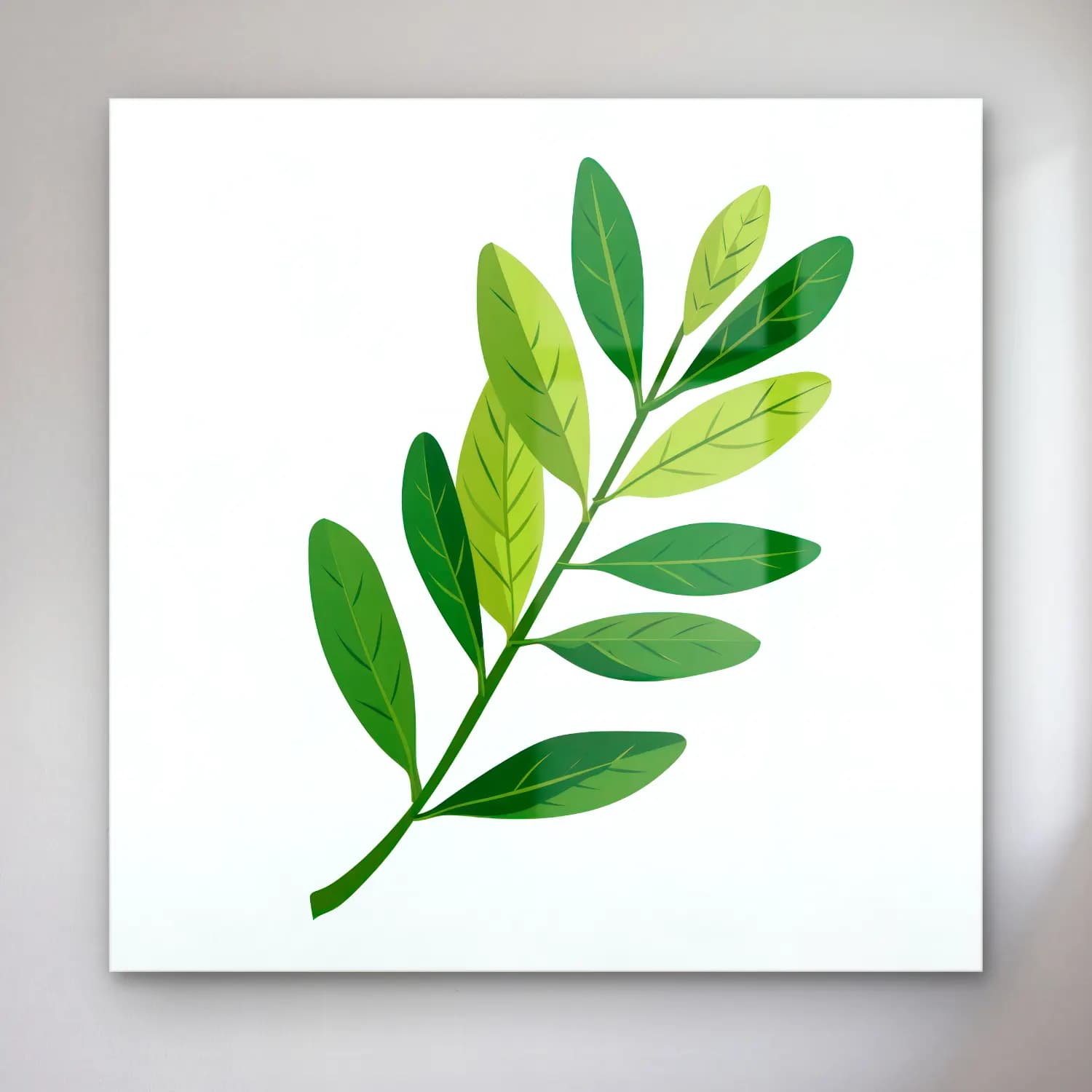Botanik İllüstrasyon Zeytin Dalı No. 5 cam tablo — Botanik İllüstrasyon Zeytin Dalı No. 5 — botanik i̇llüstrasyon zeytin dalı