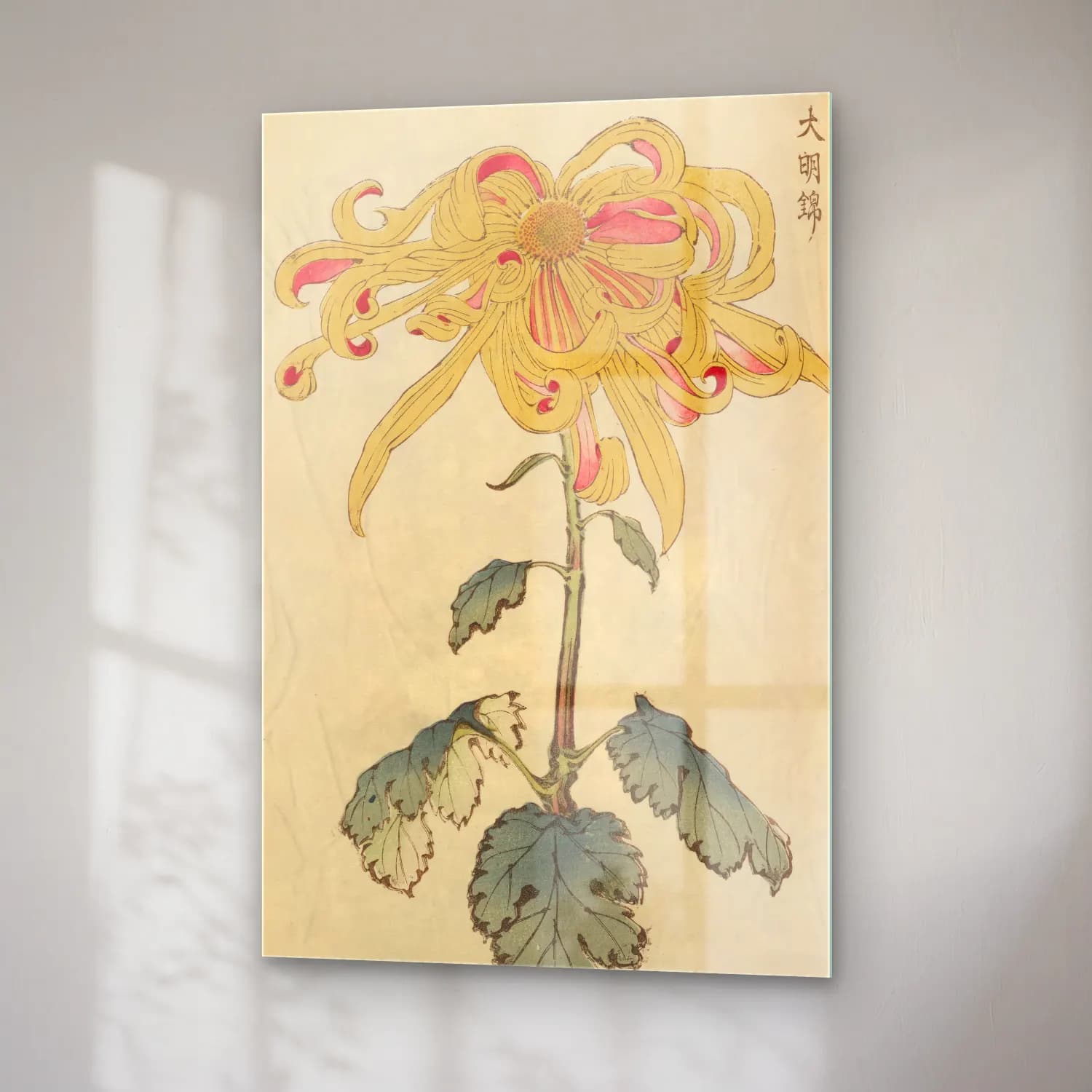 Botanik İllüstrasyon Çiçek Deseni No. 39 cam tablo — sağ açıdan görünüm