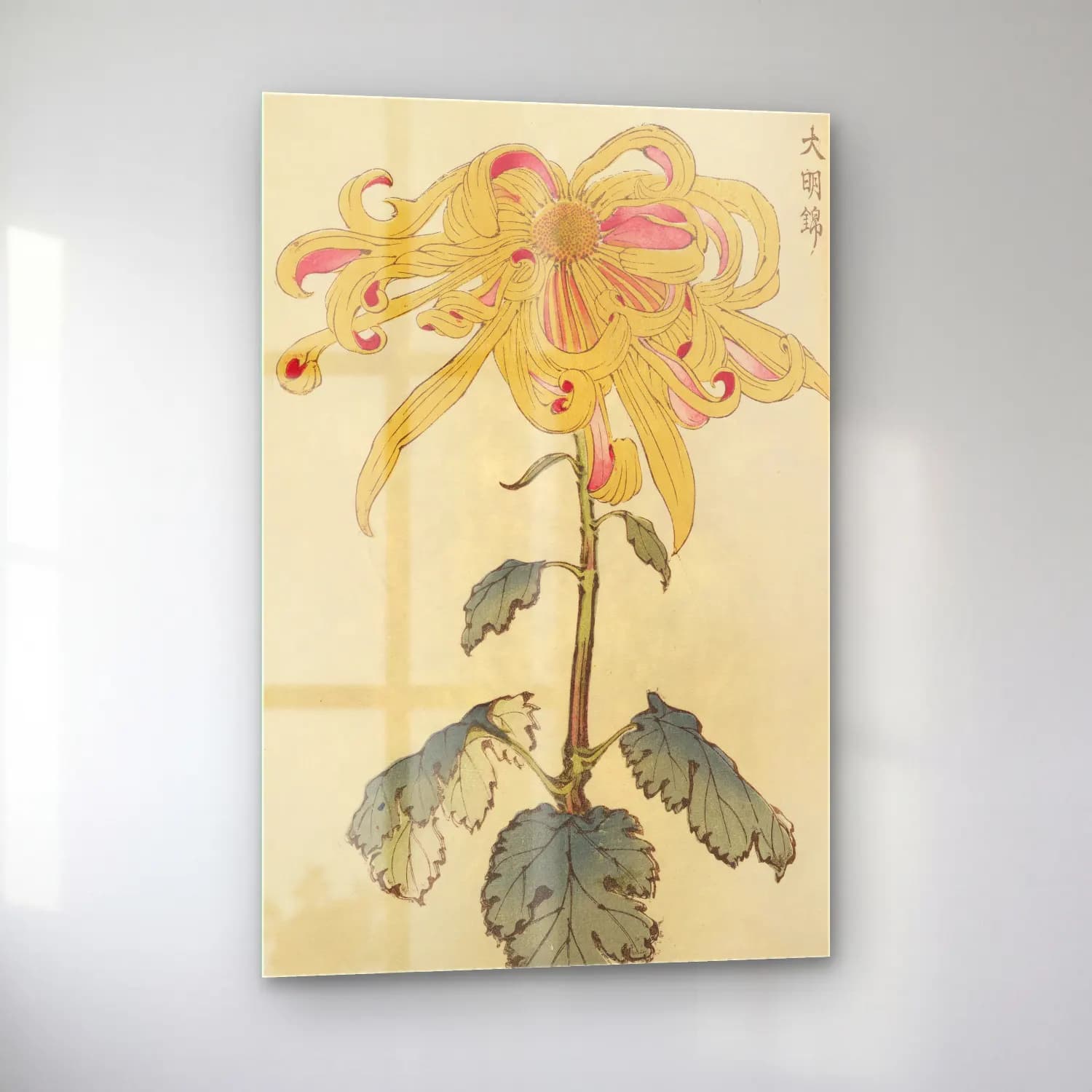 Botanik İllüstrasyon Çiçek Deseni No. 39 cam tablo — sol açıdan görünüm