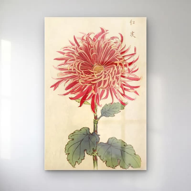Botanik İllüstrasyon Çiçek Deseni No. 40 cam tablo — Botanik İllüstrasyon Çiçek Deseni No. 40 — botanik i̇llüstrasyon çiçek deseni