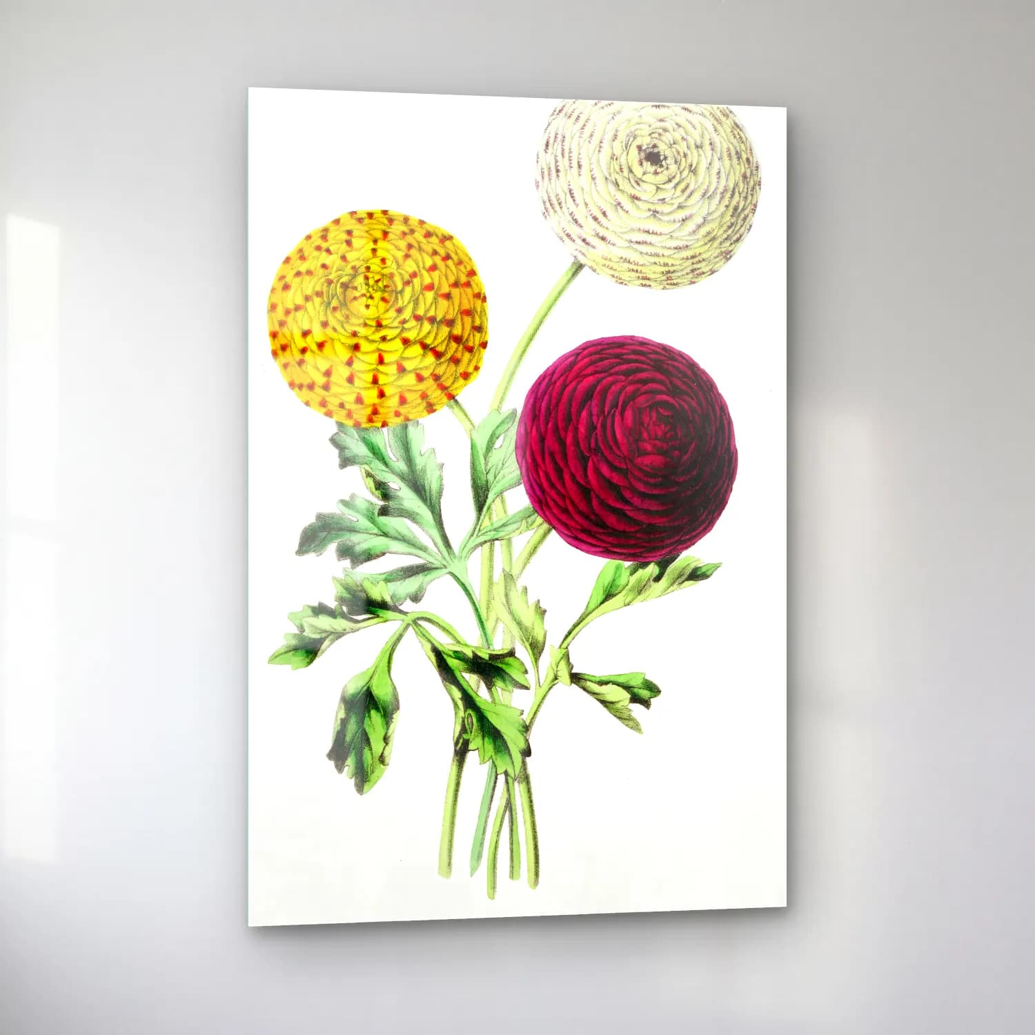 Botanik İllüstrasyon Çiçek Deseni No. 42 cam tablo — sol açıdan görünüm