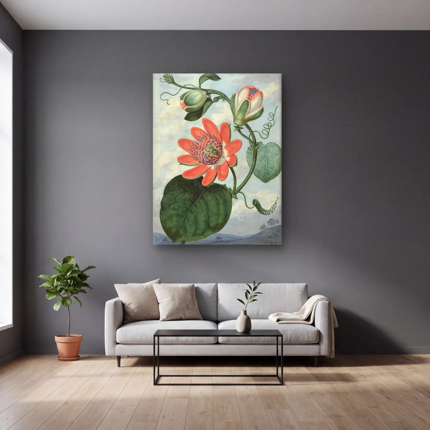 Botanik İllüstrasyon Lotus Çiçekleri No. 3 cam tablo — gri duvarlı salonda