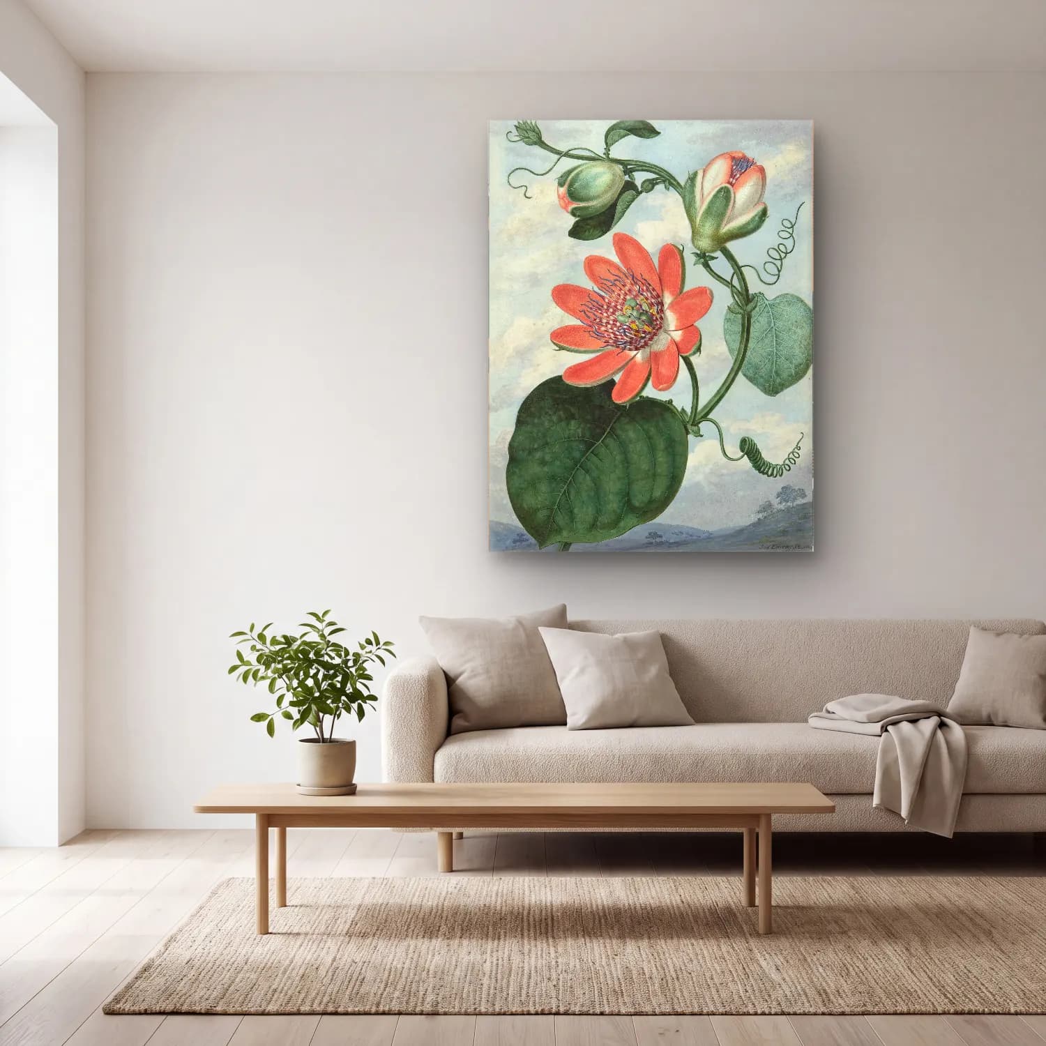 Botanik İllüstrasyon Lotus Çiçekleri No. 3 cam tablo — açık renk salonda