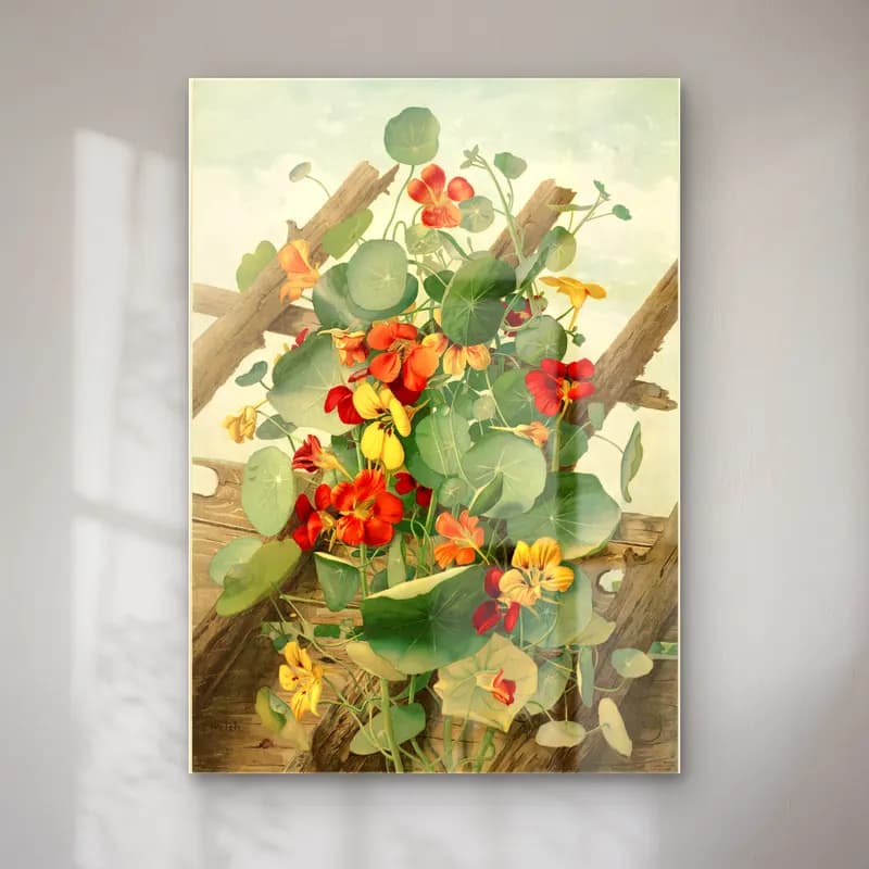Botanik İllüstrasyon Çiçek Bahçesi No. 8 cam tablo — Botanik İllüstrasyon Çiçek Bahçesi No. 8 — botanik i̇llüstrasyon çiçek bahçesi