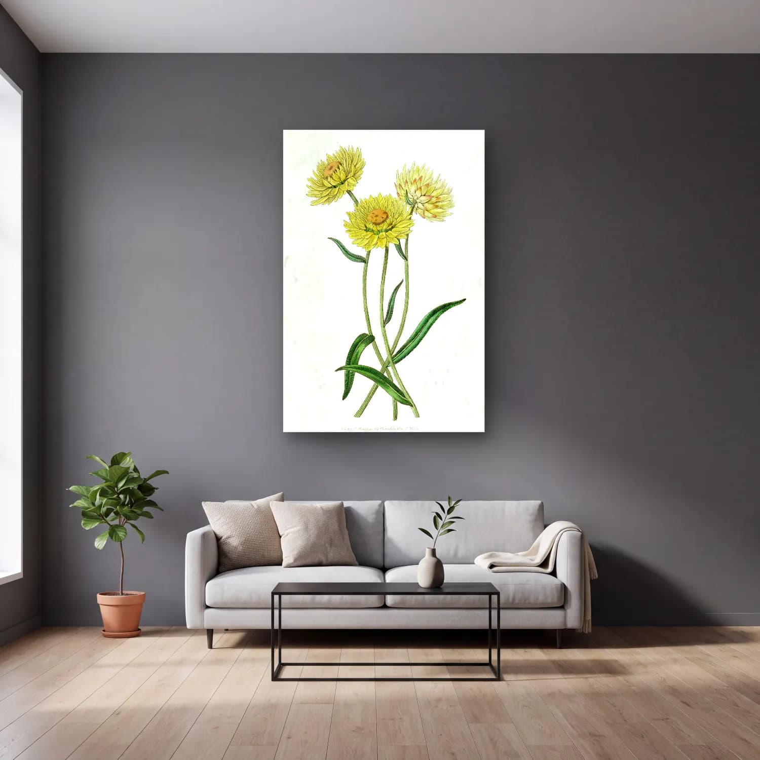 Botanik İllüstrasyon Kır Çiçekleri No. 24 cam tablo — gri duvarlı salonda