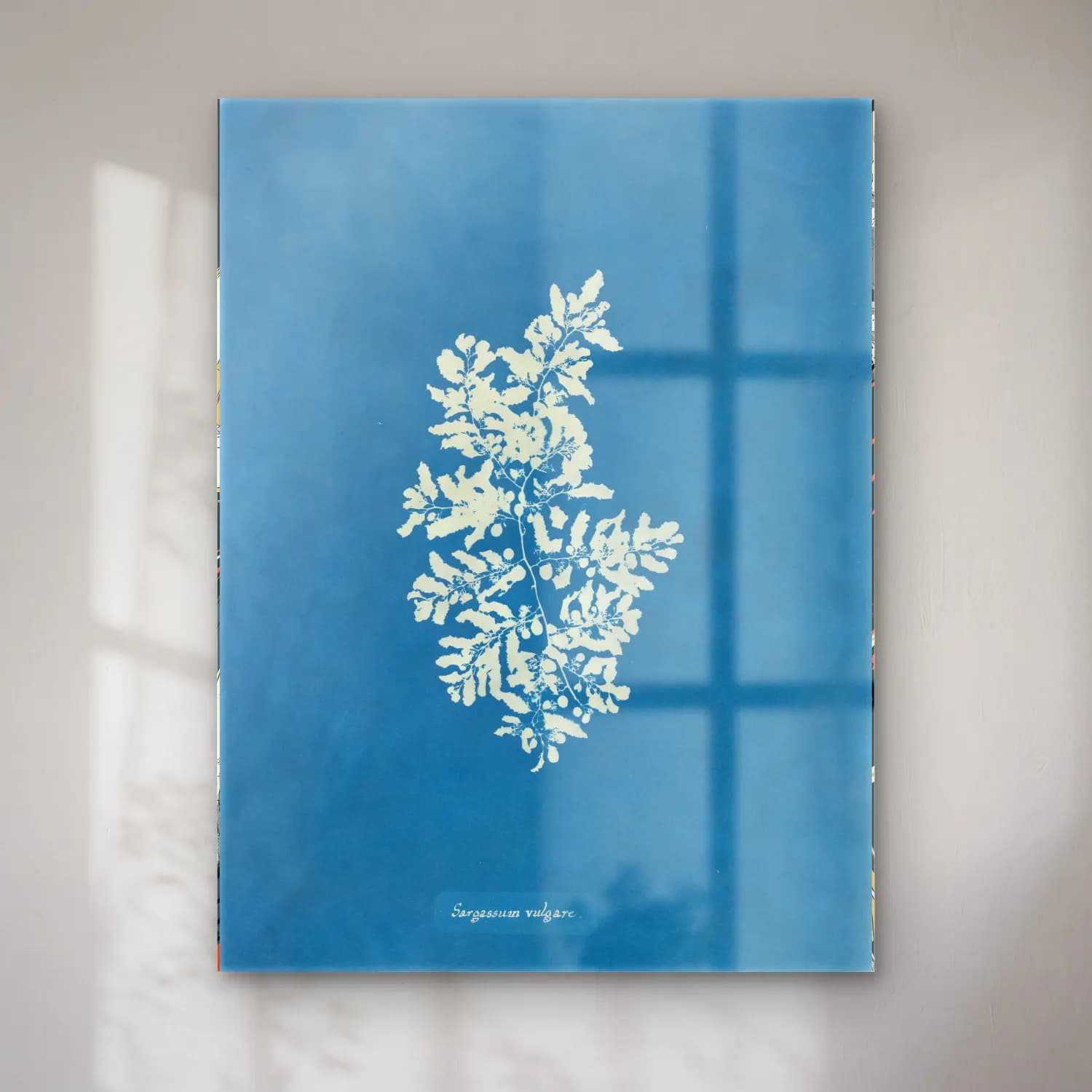 Botanik İllüstrasyon Çiçek Deseni No. 44 cam tablo — Botanik İllüstrasyon Çiçek Deseni No. 44 — botanik i̇llüstrasyon çiçek deseni