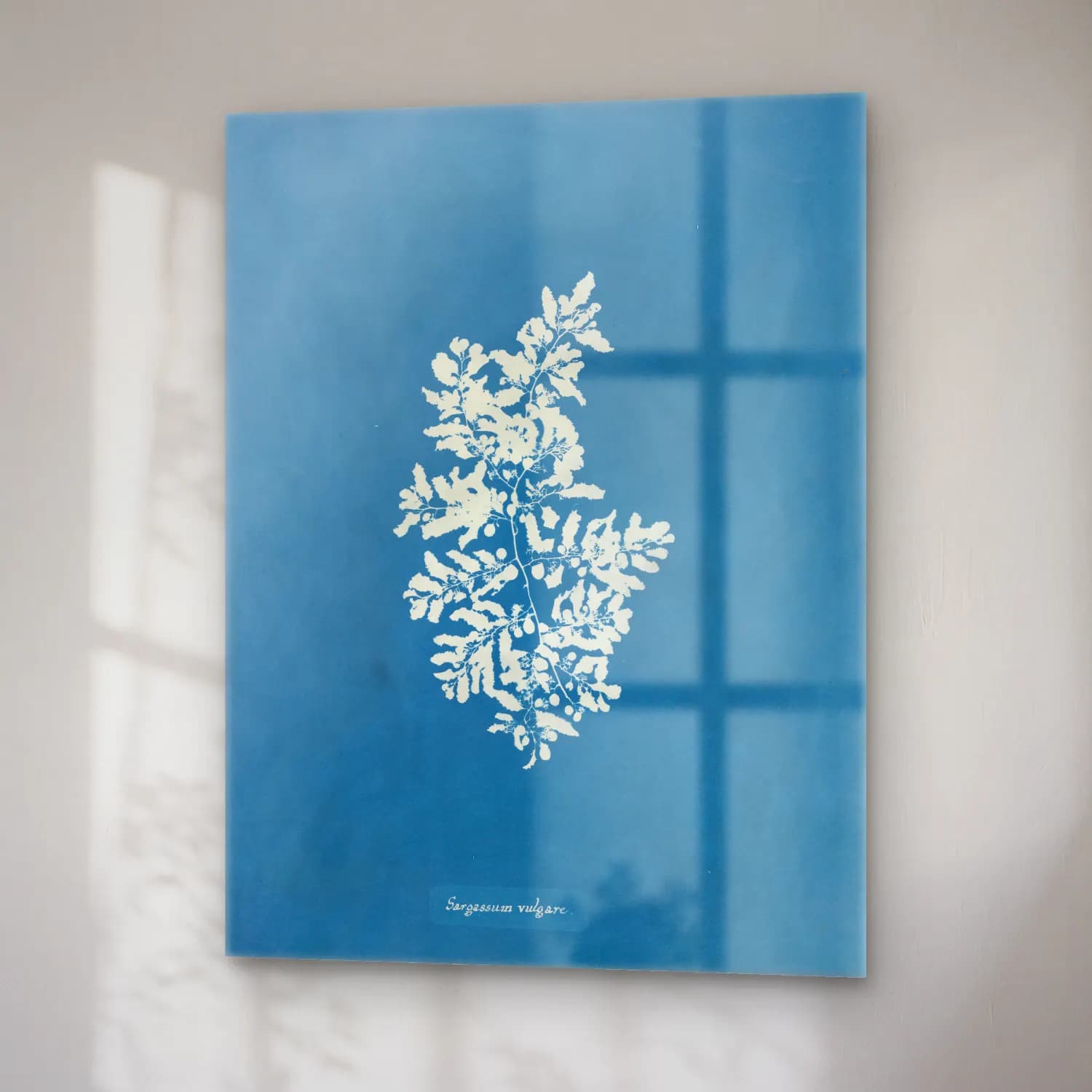 Botanik İllüstrasyon Çiçek Deseni No. 44 cam tablo — sağ açıdan görünüm