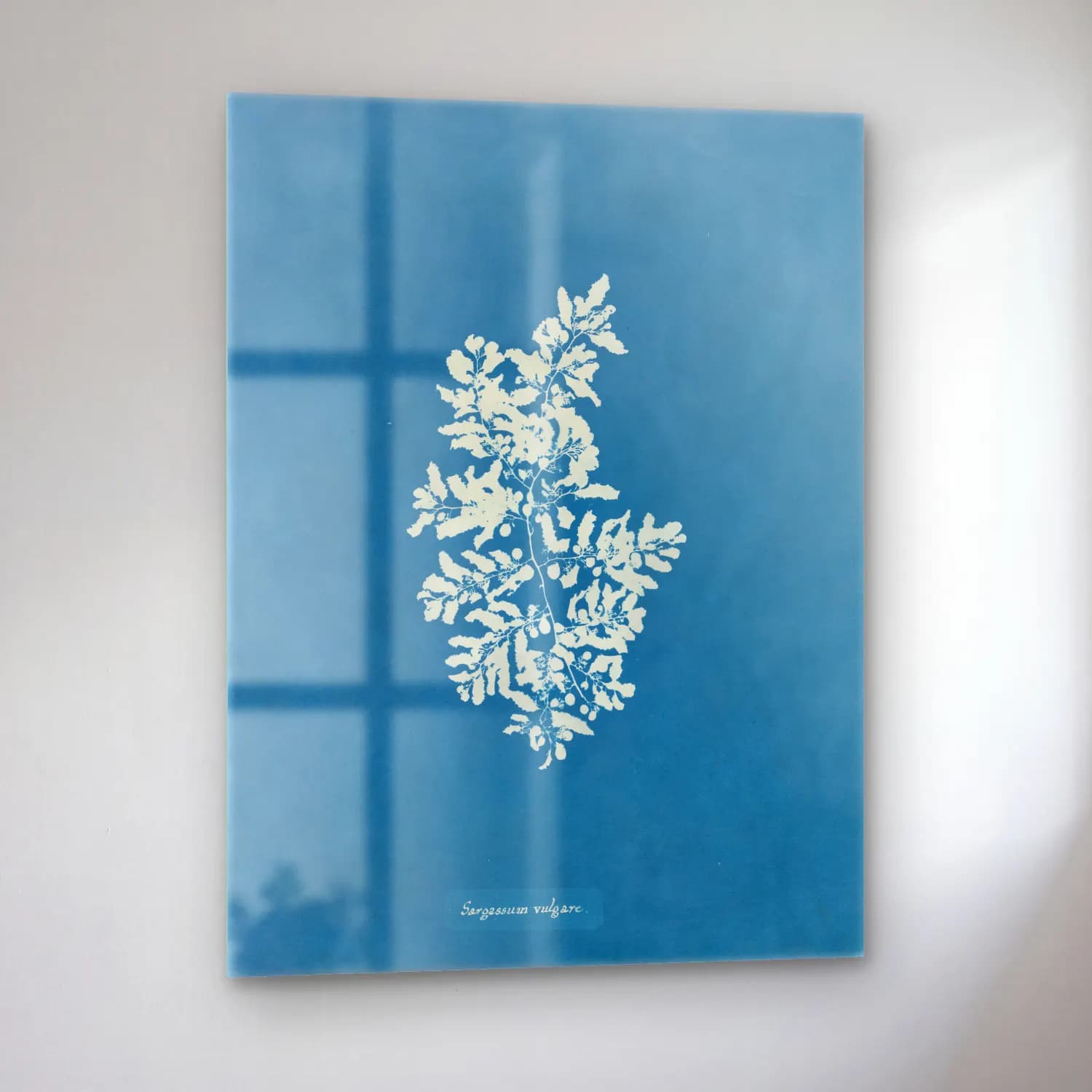 Botanik İllüstrasyon Çiçek Deseni No. 44 cam tablo — sol açıdan görünüm