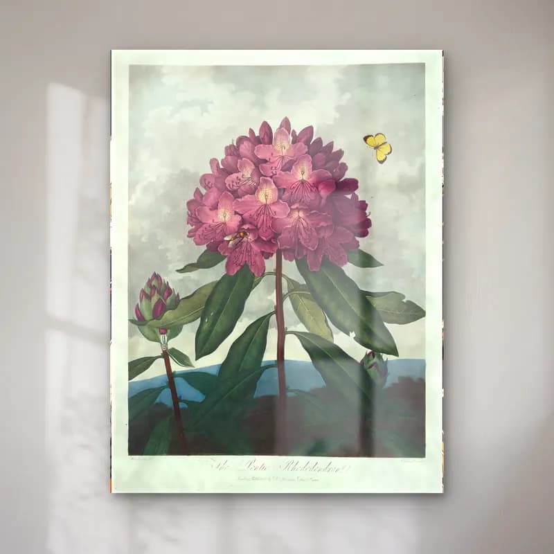 Botanik İllüstrasyon Kelebek No. 10 cam tablo — Botanik İllüstrasyon Kelebek No. 10 — botanik i̇llüstrasyon kelebek
