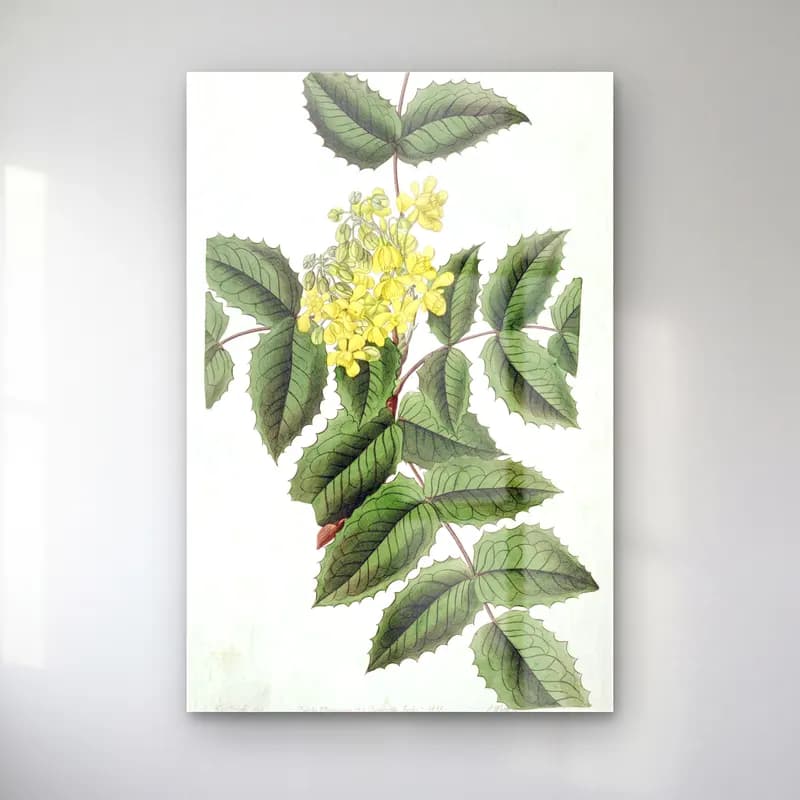 Botanik İllüstrasyon Limon Dalı No. 6 cam tablo — Botanik İllüstrasyon Limon Dalı No. 6 — botanik i̇llüstrasyon limon dalı