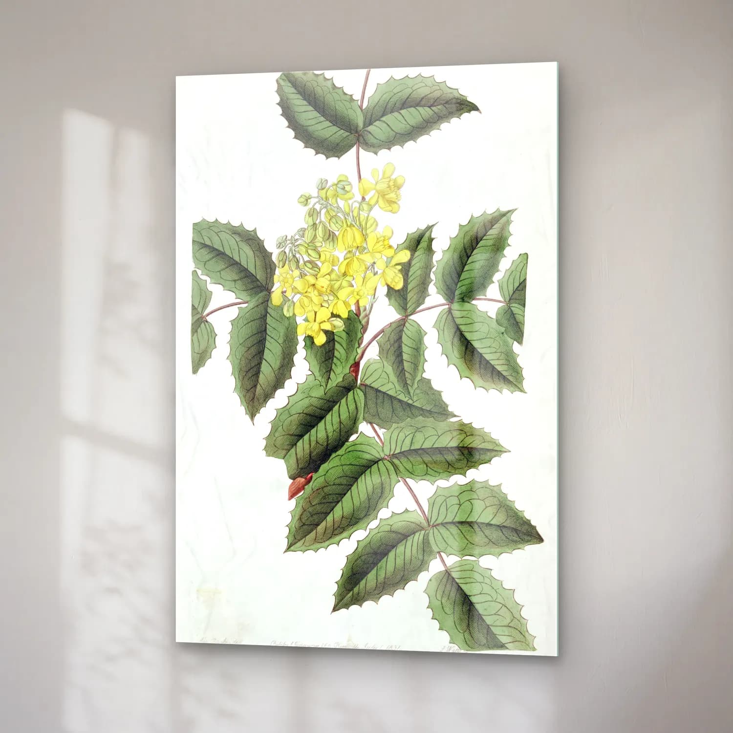 Botanik İllüstrasyon Limon Dalı No. 6 cam tablo — sağ açıdan görünüm