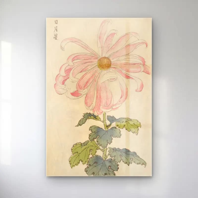 Botanik İllüstrasyon Çiçek Deseni No. 49 cam tablo — Botanik İllüstrasyon Çiçek Deseni No. 49 — botanik i̇llüstrasyon çiçek deseni