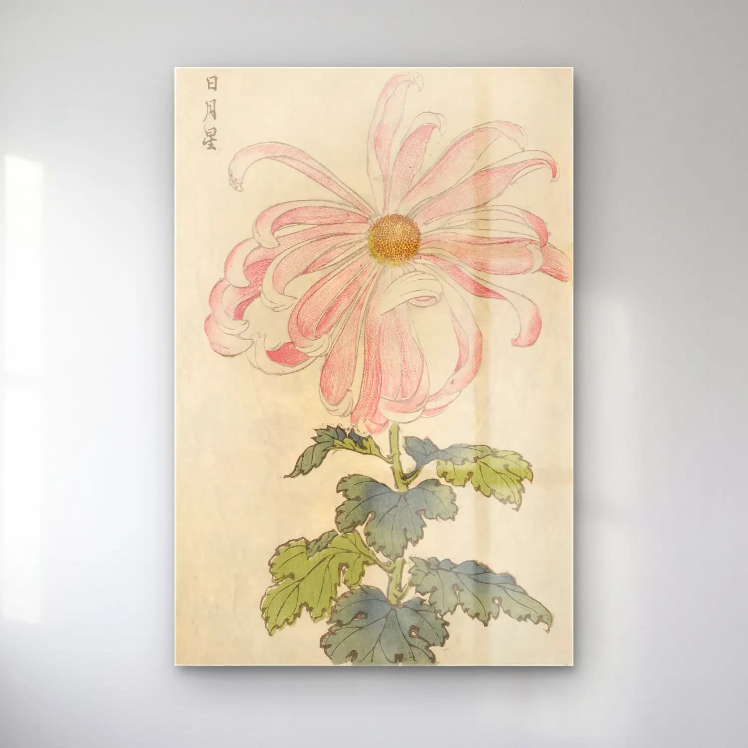 Botanik İllüstrasyon Çiçek Deseni No. 49 cam tablo — Botanik İllüstrasyon Çiçek Deseni No. 49 — botanik i̇llüstrasyon çiçek deseni