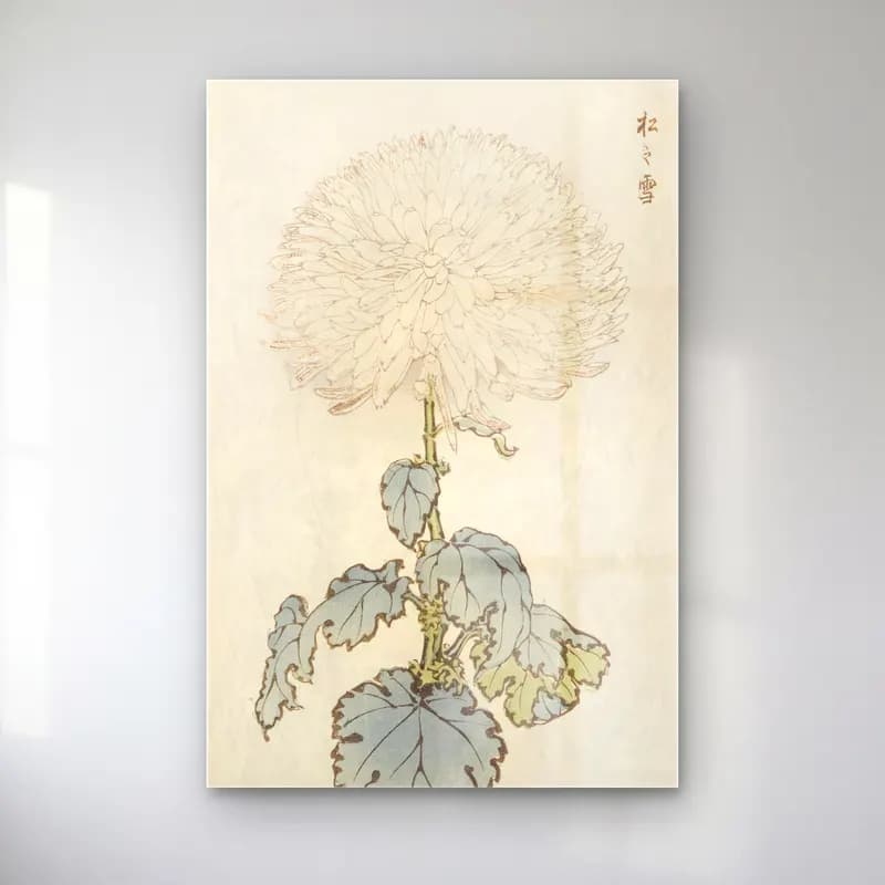 Botanik İllüstrasyon Çiçek Deseni No. 50 cam tablo — Botanik İllüstrasyon Çiçek Deseni No. 50 — botanik i̇llüstrasyon çiçek deseni