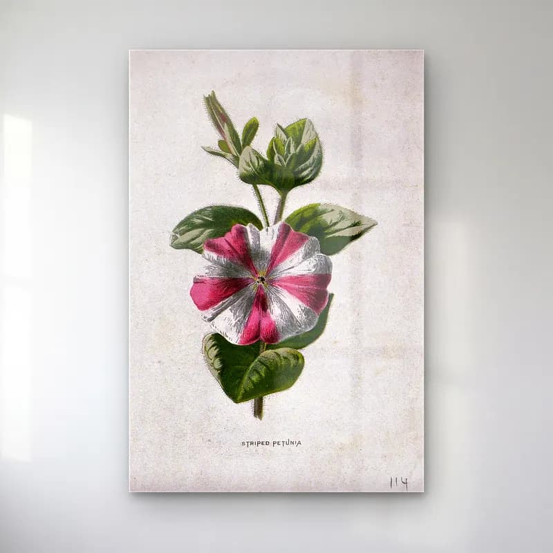 Botanik İllüstrasyon Çiçek Deseni No. 101 cam tablo — Botanik İllüstrasyon Çiçek Deseni No. 101 — botanik i̇llüstrasyon çiçek deseni