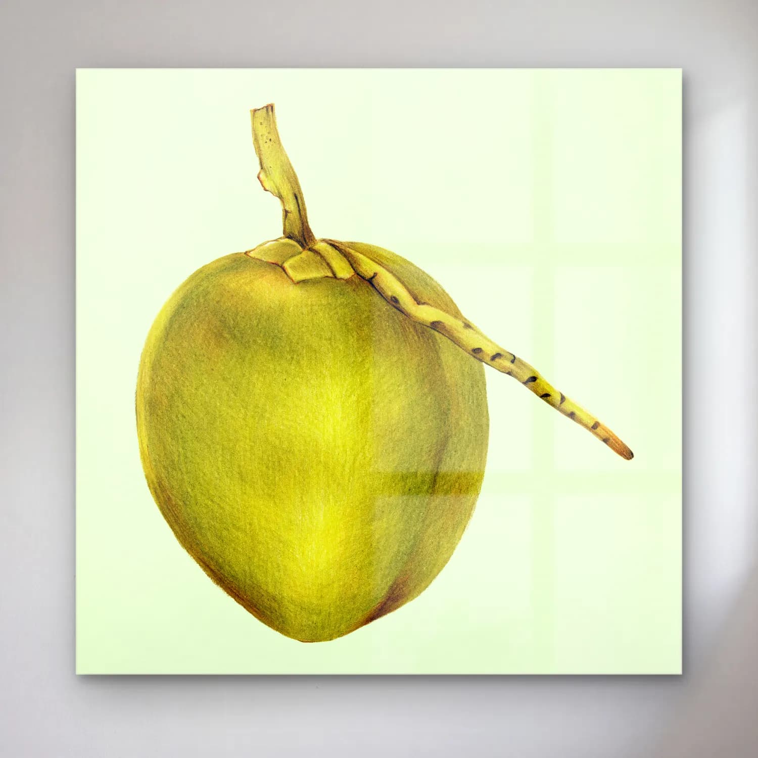 Botanik İllüstrasyon Limon Dalı No. 11 cam tablo — Botanik İllüstrasyon Limon Dalı No. 11 — botanik i̇llüstrasyon limon dalı