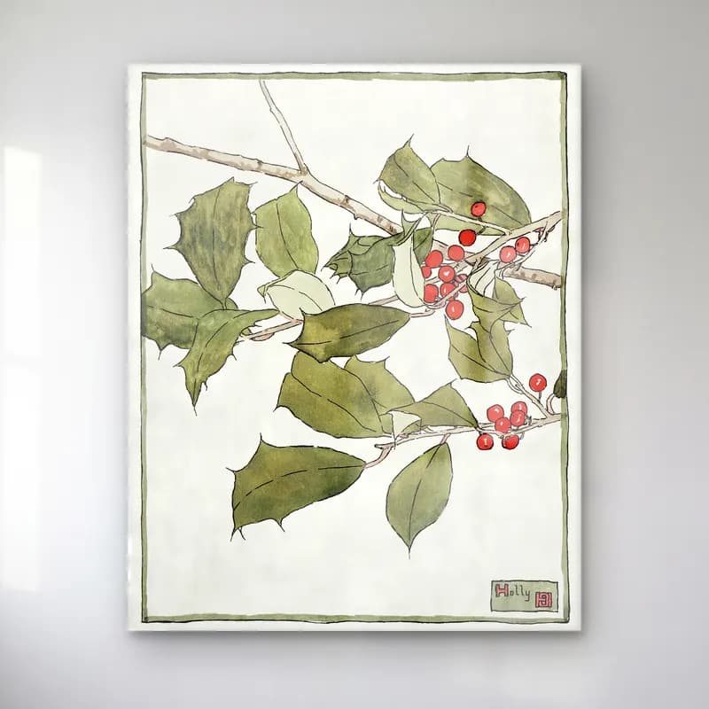 Botanik İllüstrasyon Yılbaşı Ağacı No. 34 cam tablo — Botanik İllüstrasyon Yılbaşı Ağacı No. 34 — botanik i̇llüstrasyon yılbaşı ağacı